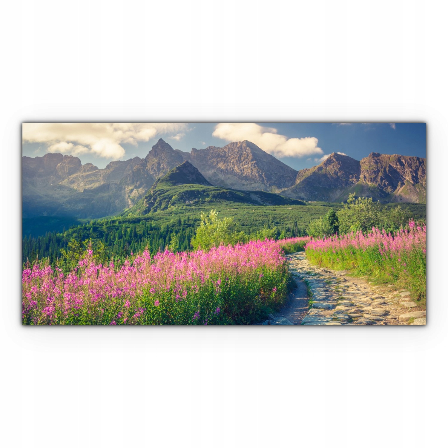 

foto-obraz na płótnie 140x70 Kwiaty Góry Krajobraz