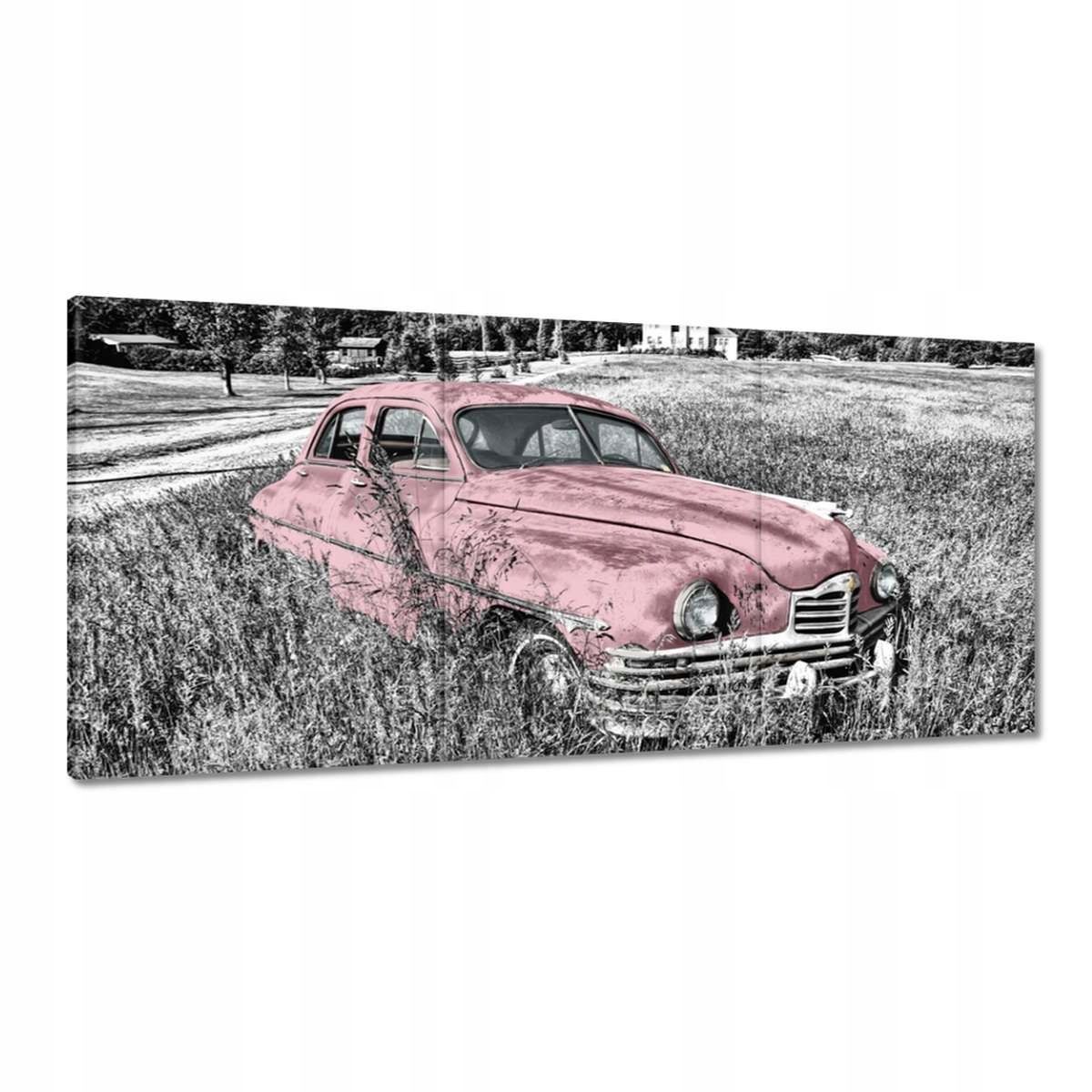 Obrazy 210x100 Ružová historická babička