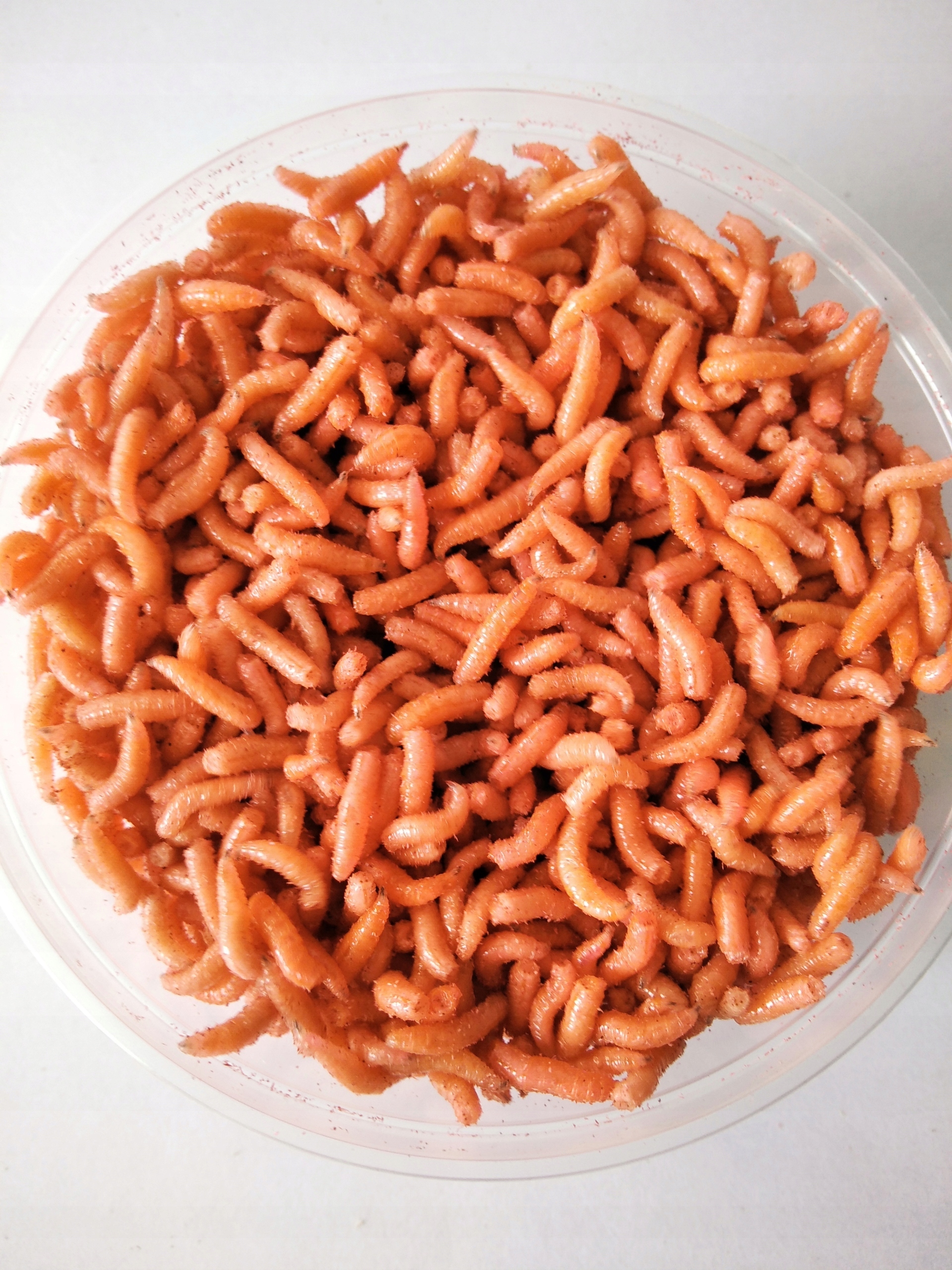 ROBAK PINKA FLUO OP. 200 ML