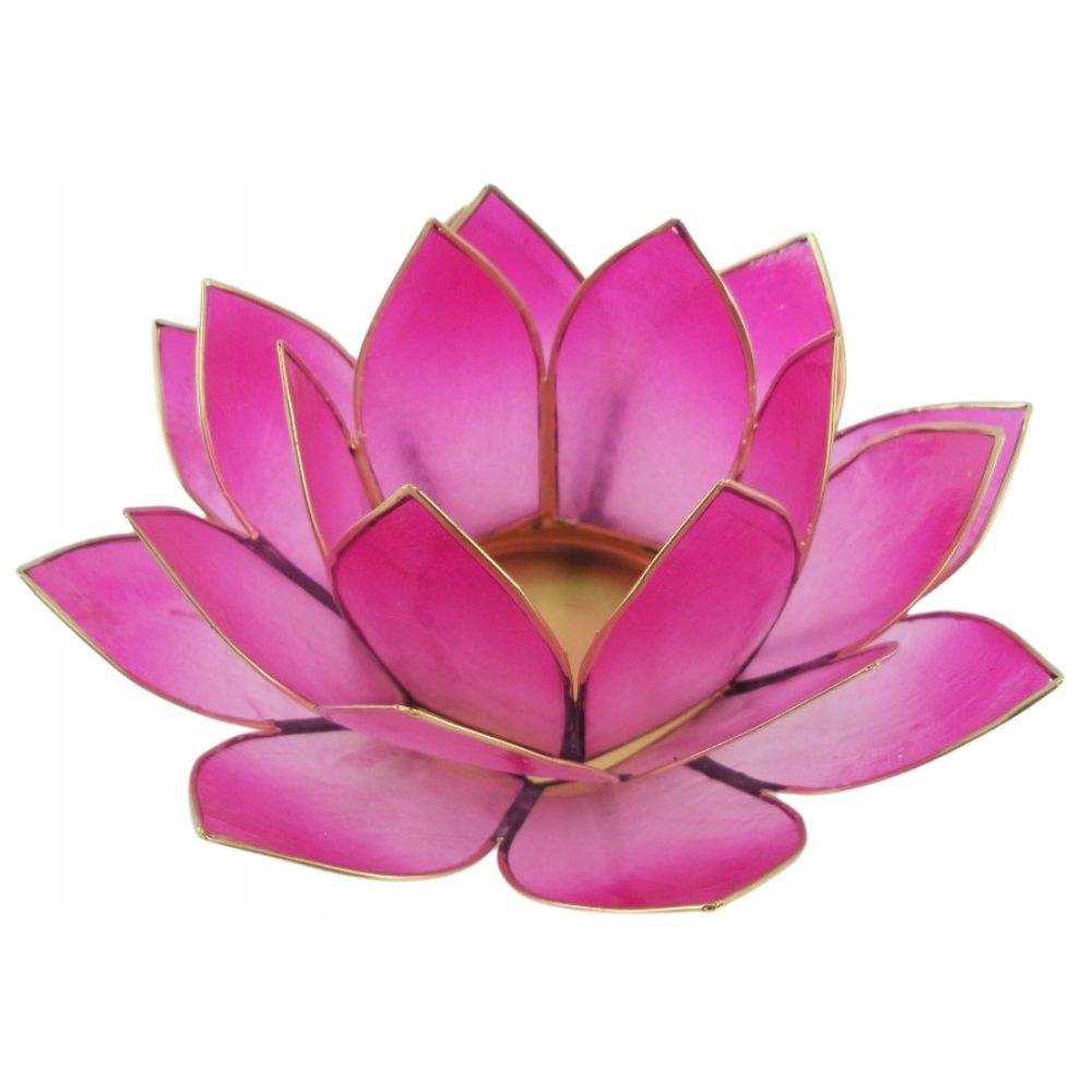 ŚWIECZNIK KWIAT LOTOSU LOTUS Tealight Muszla Capiz Cieniowany Różowy