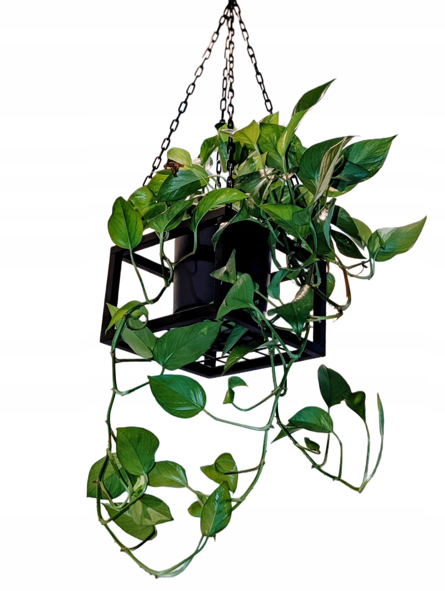 Потолочная полка клумба ручной работы