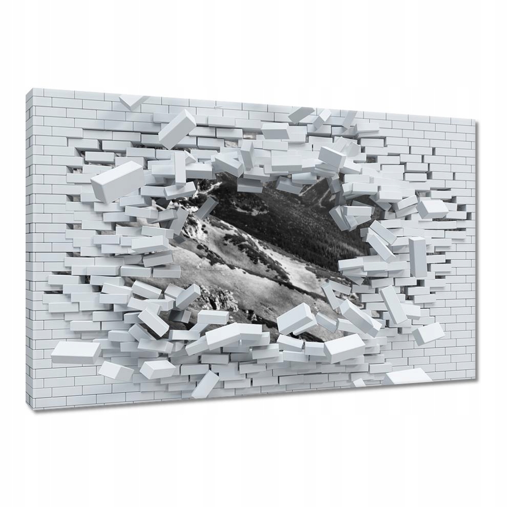 

Obrazy 60x40 Tatry Polskie góry Widok