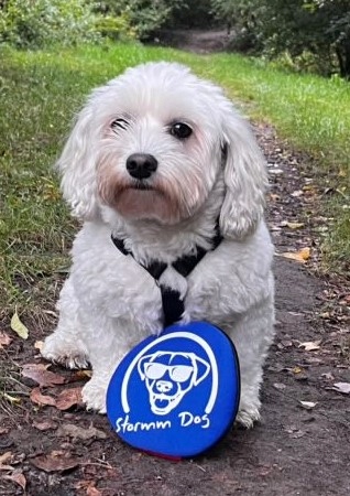 Levně Neoprenový disk Frizbii pro psa Stormm Dog 2XS 16 cm Set