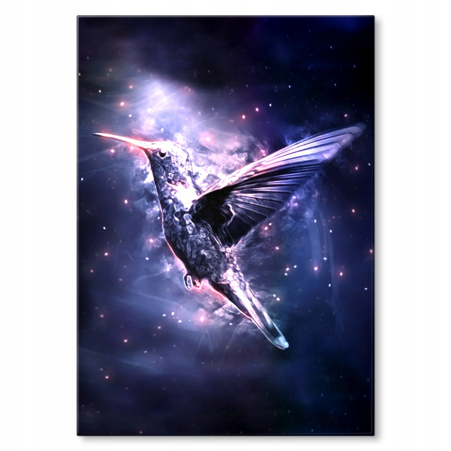 Kovový plakát Hummingbird Dárek 42 x 59 cm