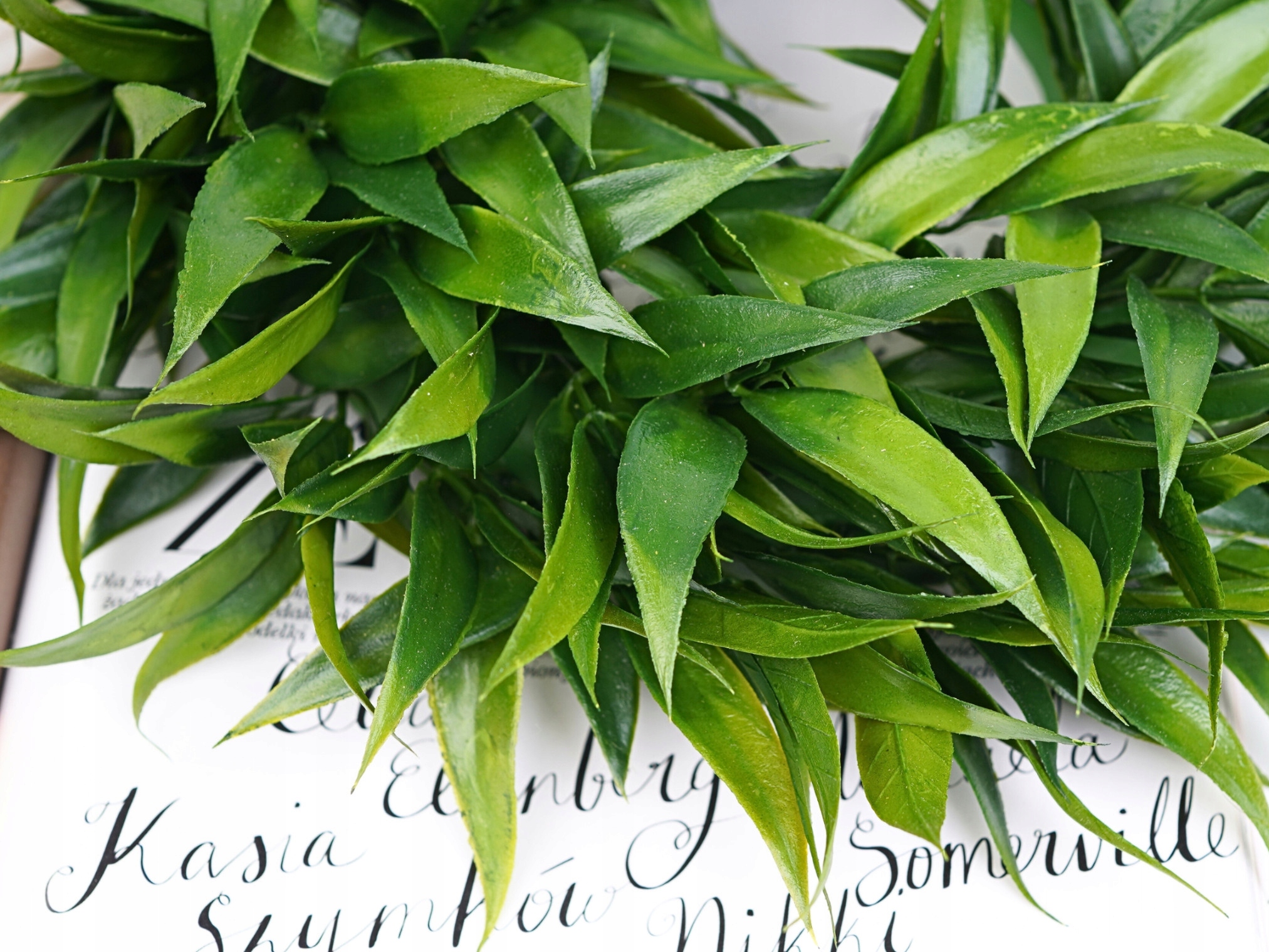 WIANEK RUSKUS GĘSTY DO POWIESZENIA NA DRZWI 35 cm SZTUCZNE LIŚCIE KWIATY Kolor zielony