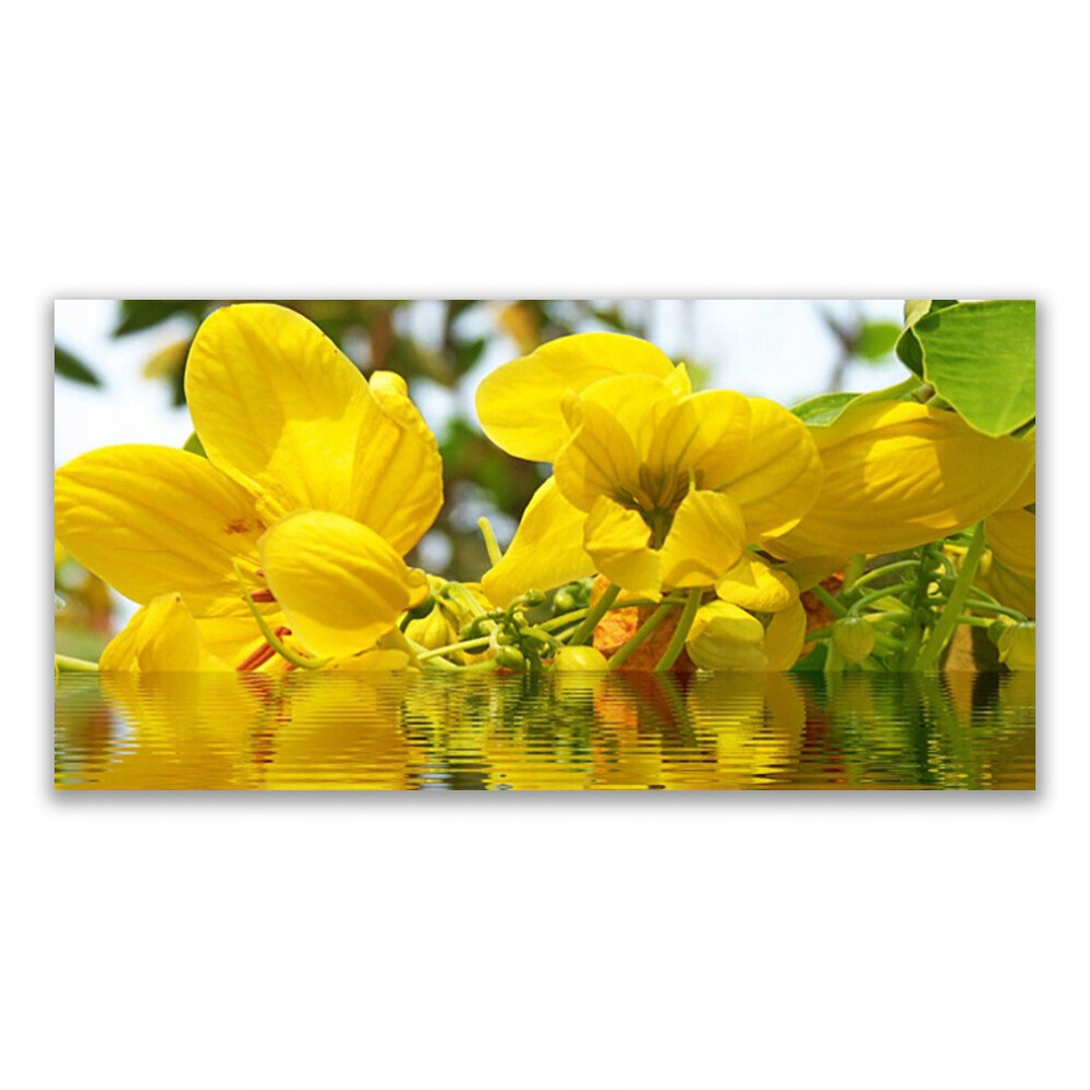 

Fotoobraz nowoczesny 140x70 Kwiaty Roślina Natura