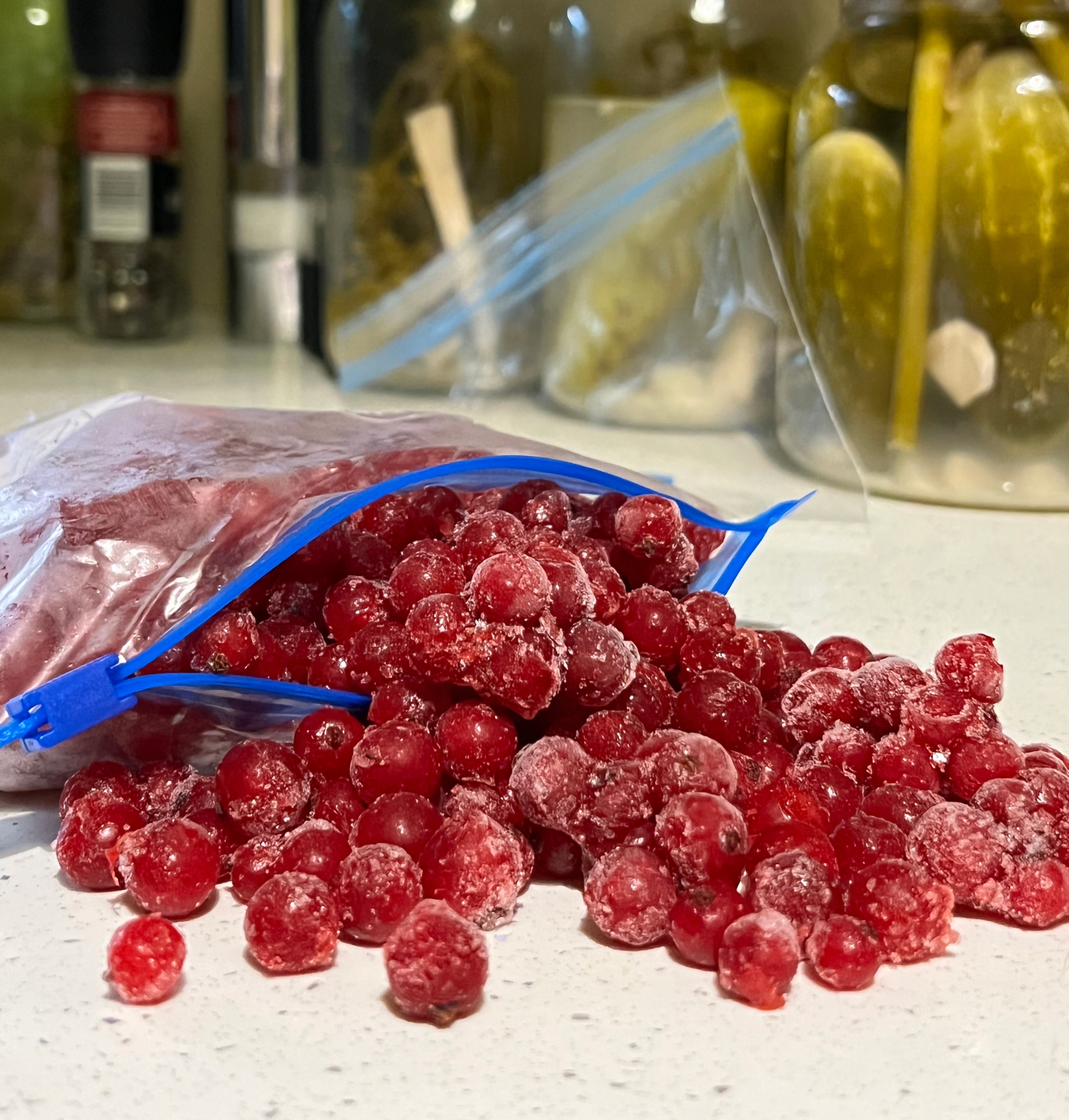 WOREK TOREBKA STRUNOWA Z SUWAKIEM DUMIL 3L 1 SZT. Stan opakowania oryginalne