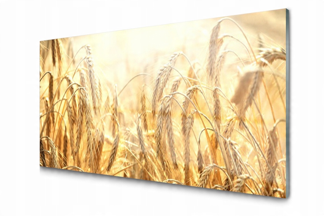 

Panel szklany Płytka Zboże Pole Kłosy 100x50