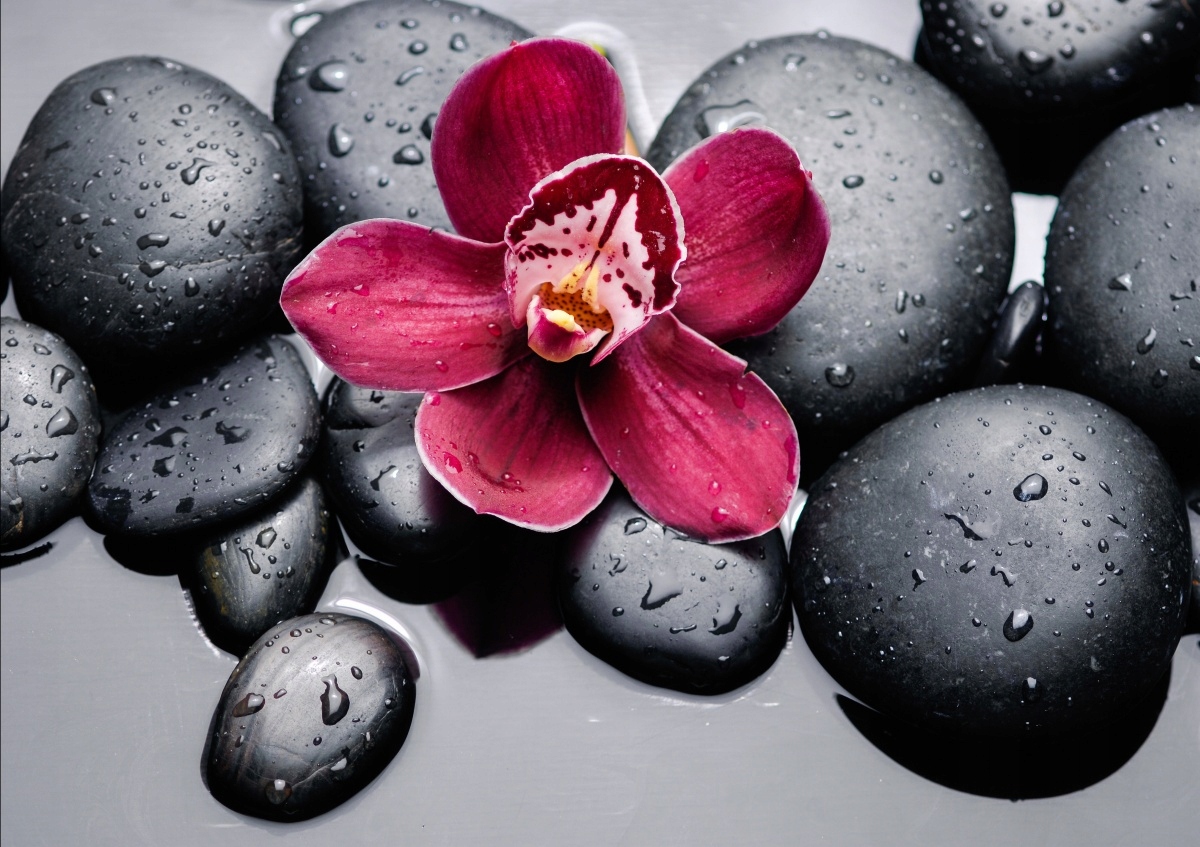 

Tapeta flizelinowa Orchidea Kamienie - 312x219