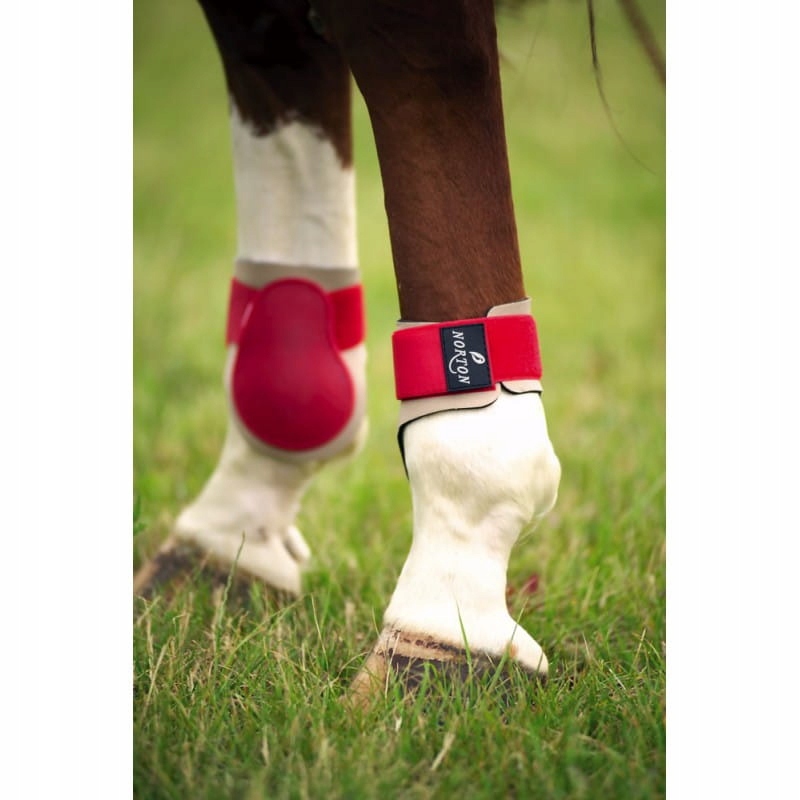 Norton ochraniacze tylne P.v.c. cherry shell/beige pony