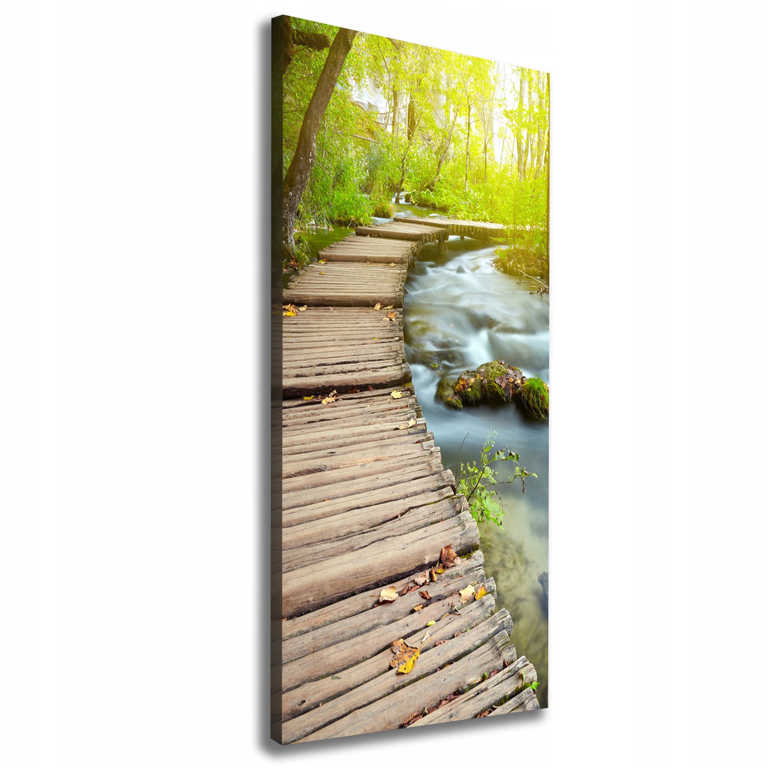 

Foto obraz na płótnie Ścieżka w lesie 50x125 cm
