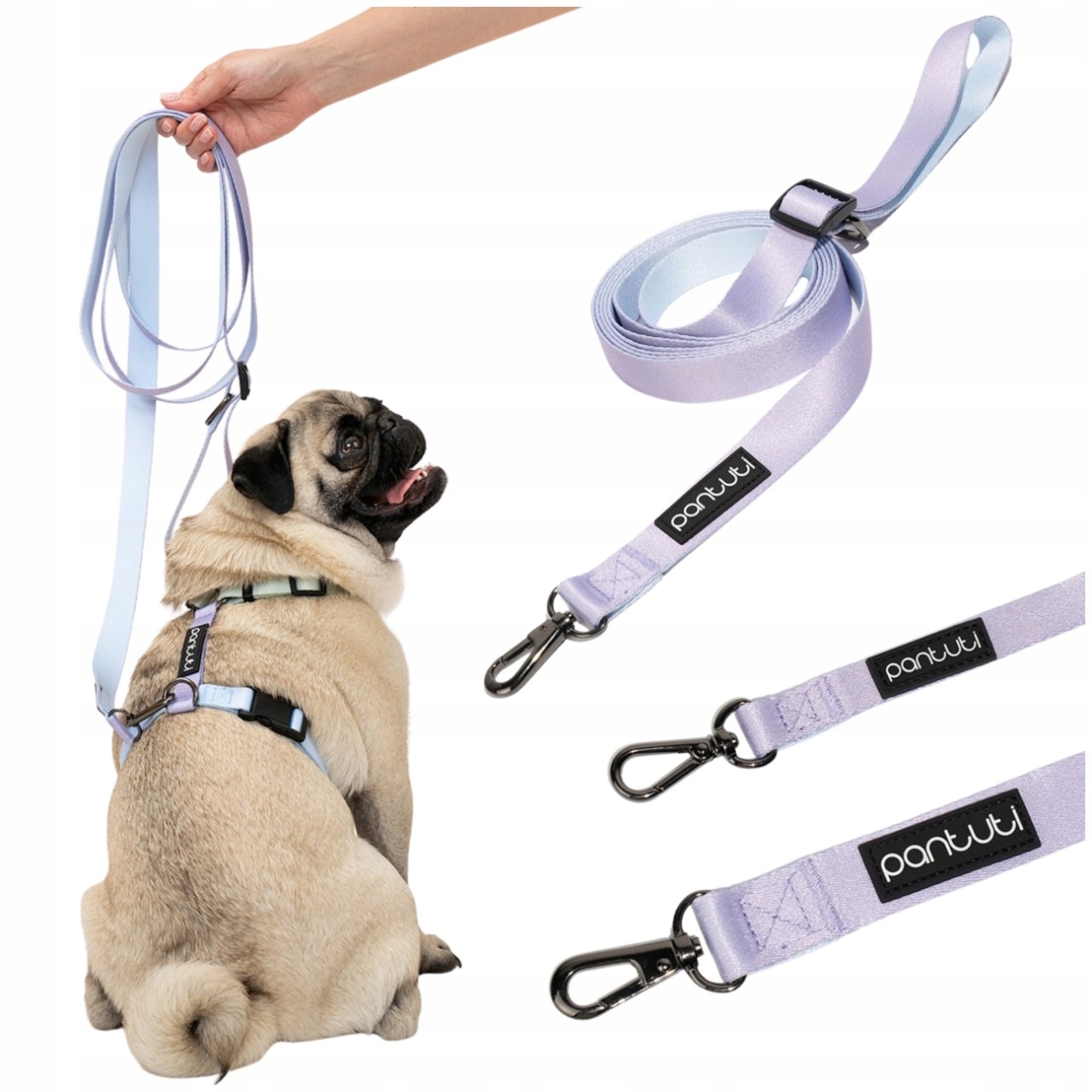 Levně Vodítko Pro Psa Vodítko Nastavitelná Pro Psa Přepínací 3M Fialová Lavender M