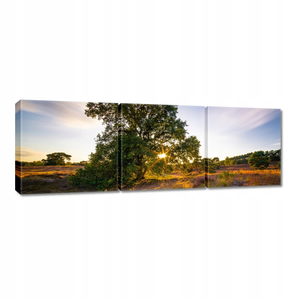 

Obrazy 120x40 Pejzaż Krajobraz Widoczek