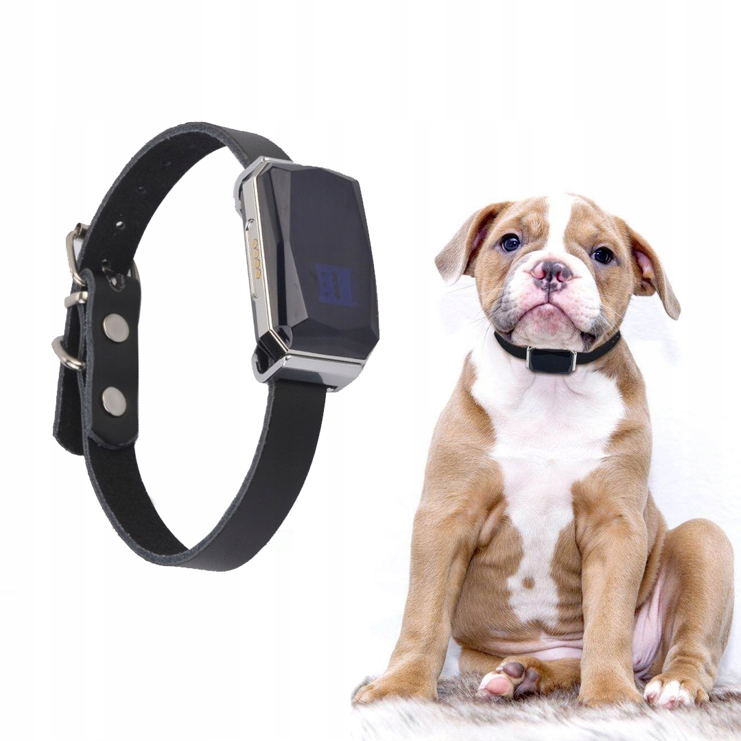 GPS LOCATOR DOG CAT COLLAR SERVER POLAND APP