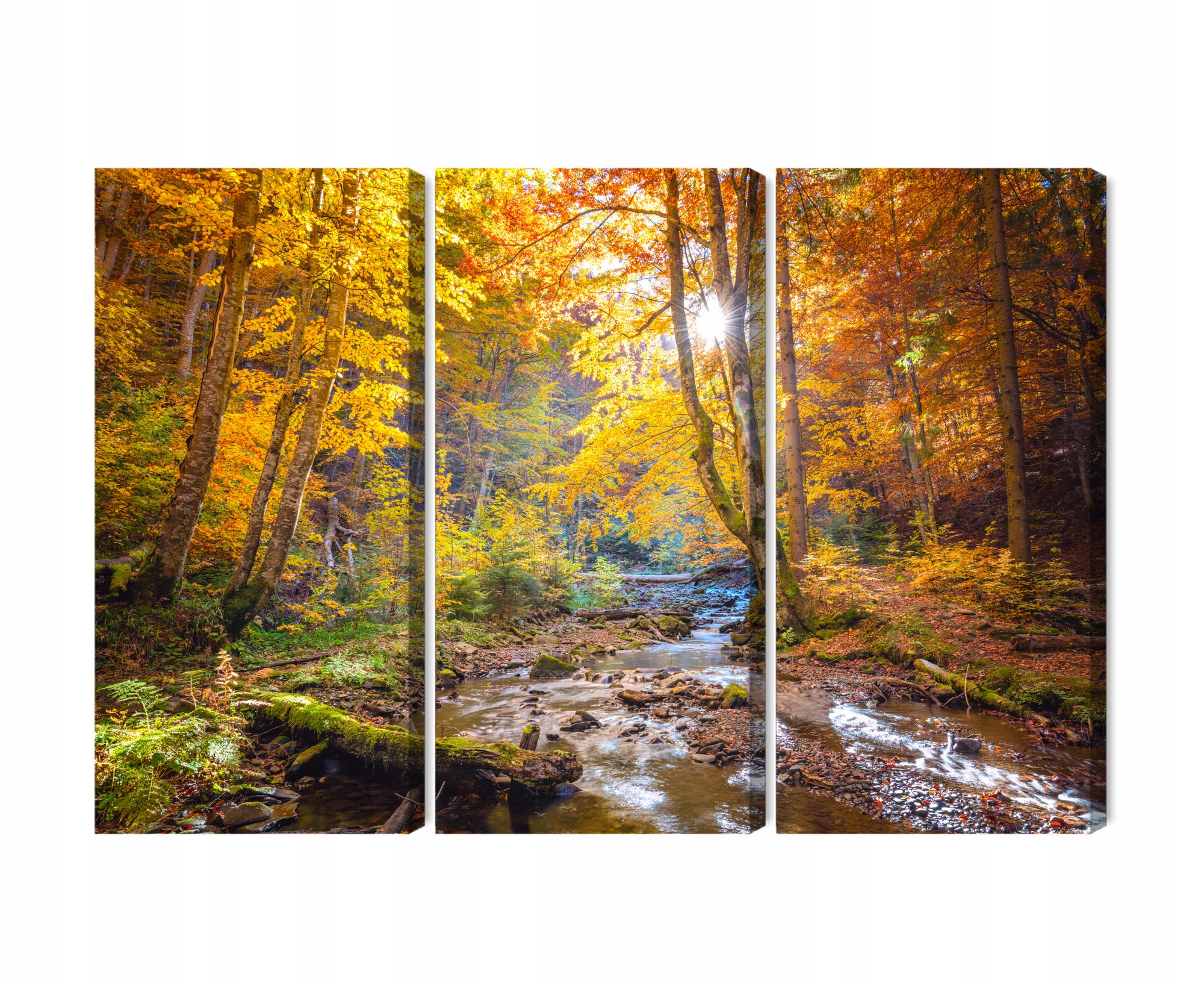 Viacdielny obraz Jesenná lesná krajina 3D Canvas 180x120
