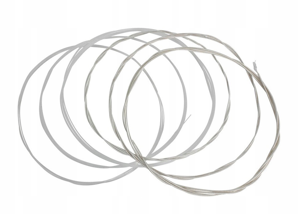 STRUNY GITAROWE 6 SZT NYLONOWE ZWY Rodzaj gitara