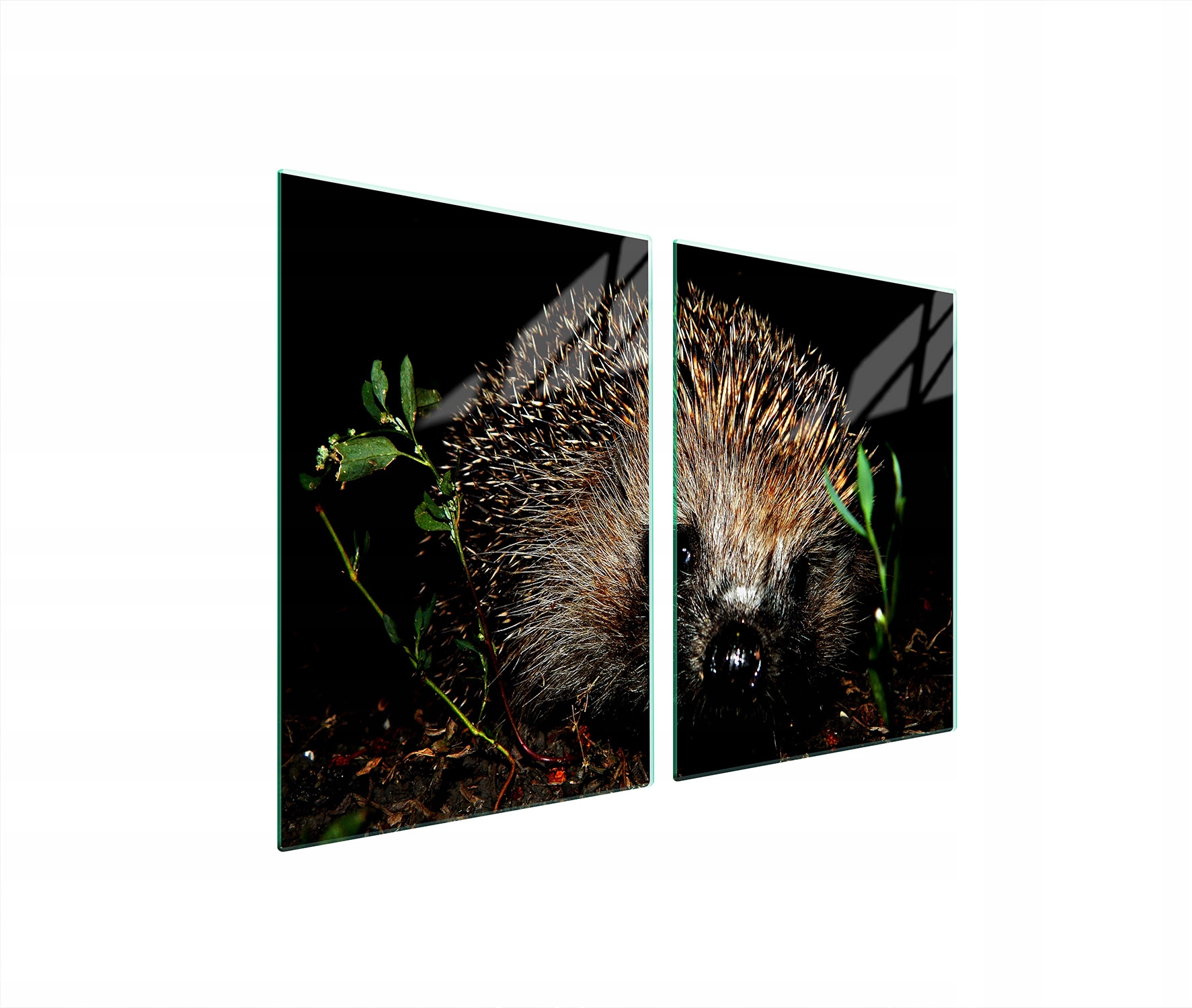 Ochranná Skleněná Deska Do Kuchyně 2x45x52 Ježek Tvrzené Sklo