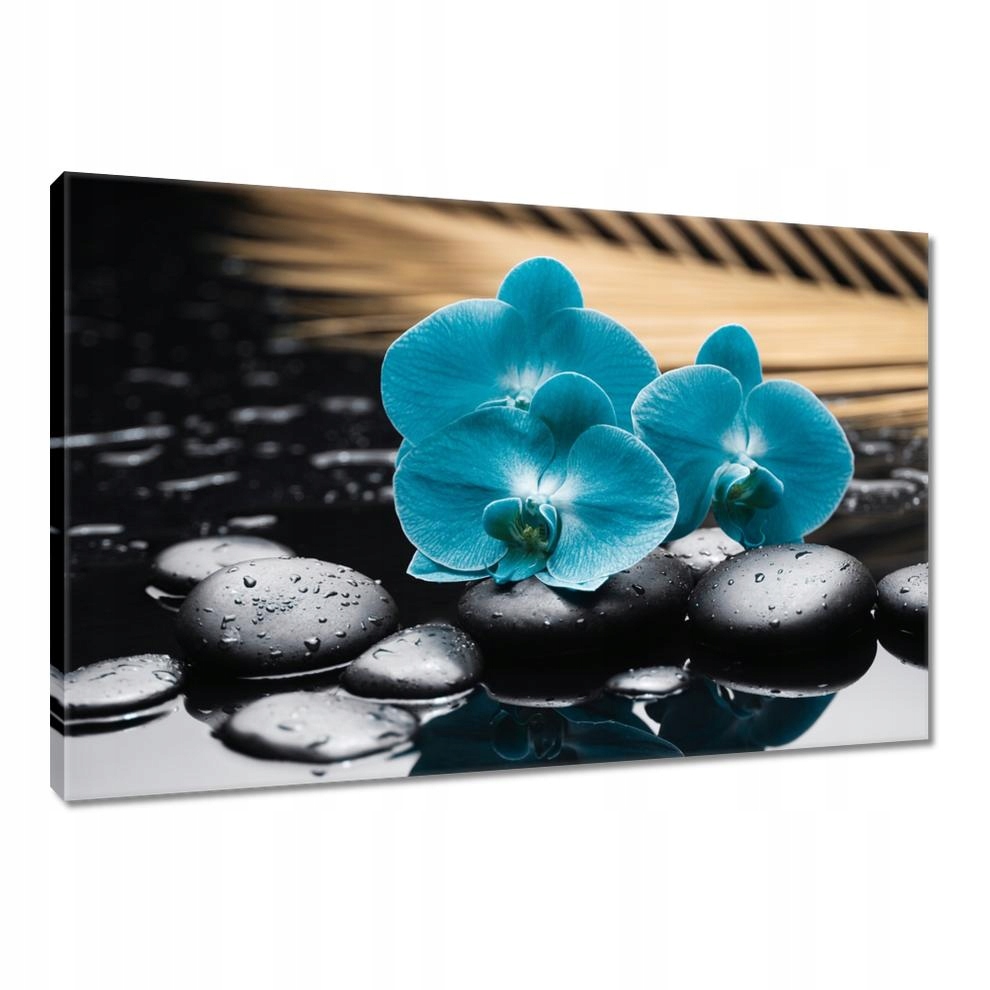 

Obrazy 120x80 Turkusowy storczyk Kwiat