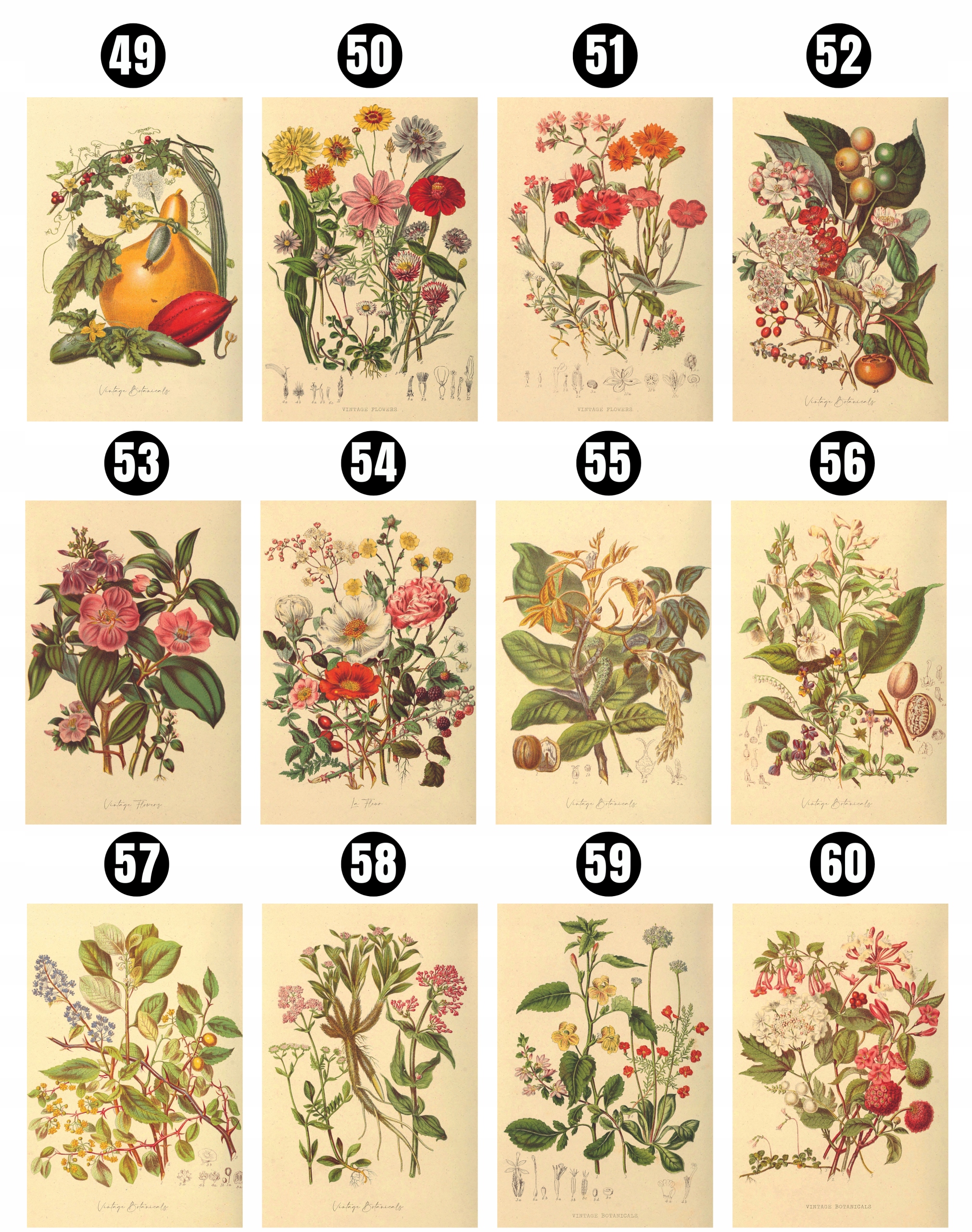 PLAKATY VINTAGE ZESTAW PLAKATÓW 6 szt A4 PLAKAT DO KUCHNI *Dużo wzorów* Format papieru A4