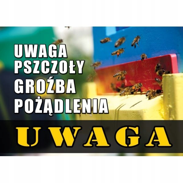 Tablica ostrzegawcza Uwaga Pszczoły 42x29,5cm F213
