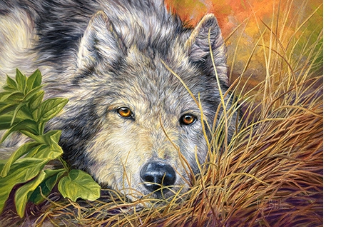 

Puzzle Zwierzęta Wilk Przyroda 9+ 500 El Castor