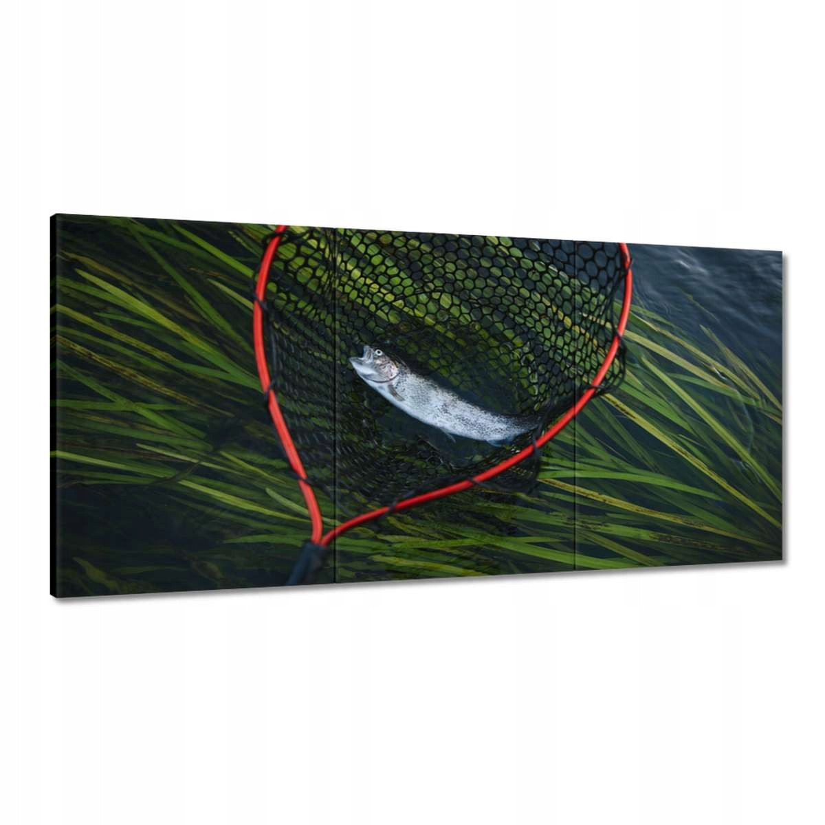 Obrazy 180x90 Rybár a sieť pstruhov