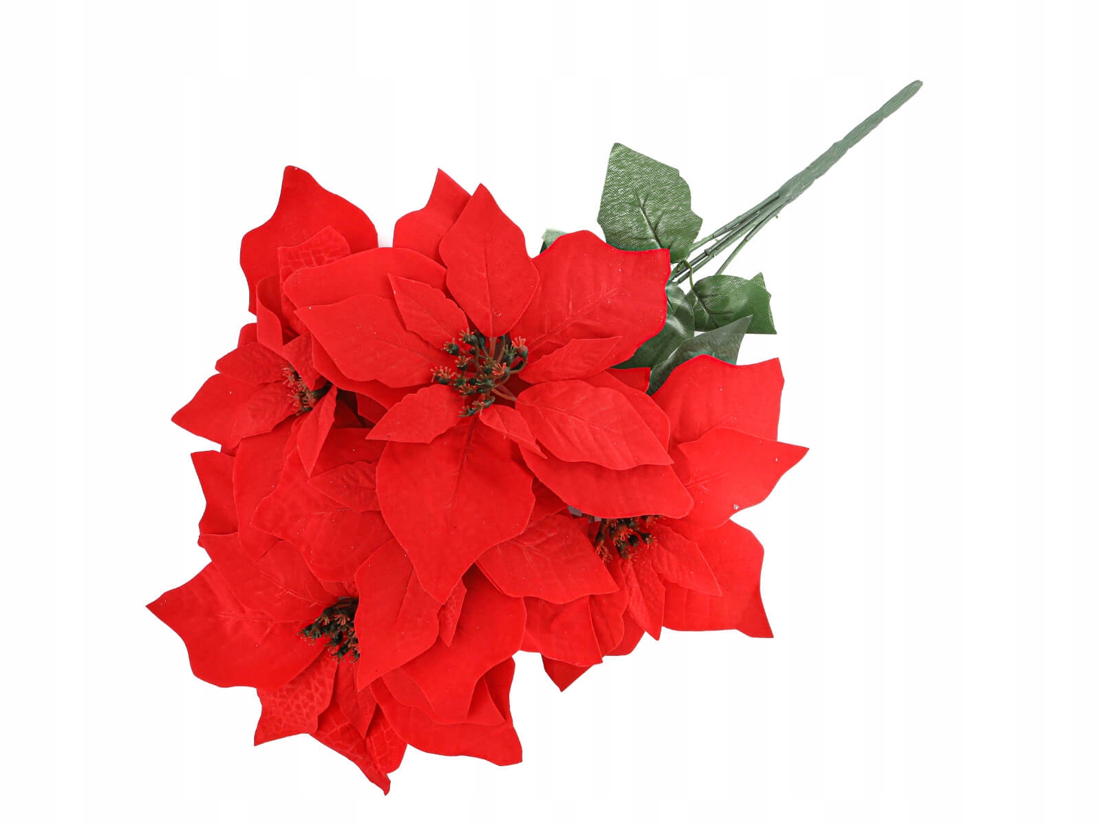 

Gwiazda Betlejemska Poinsecja czerwona bukiet 55cm