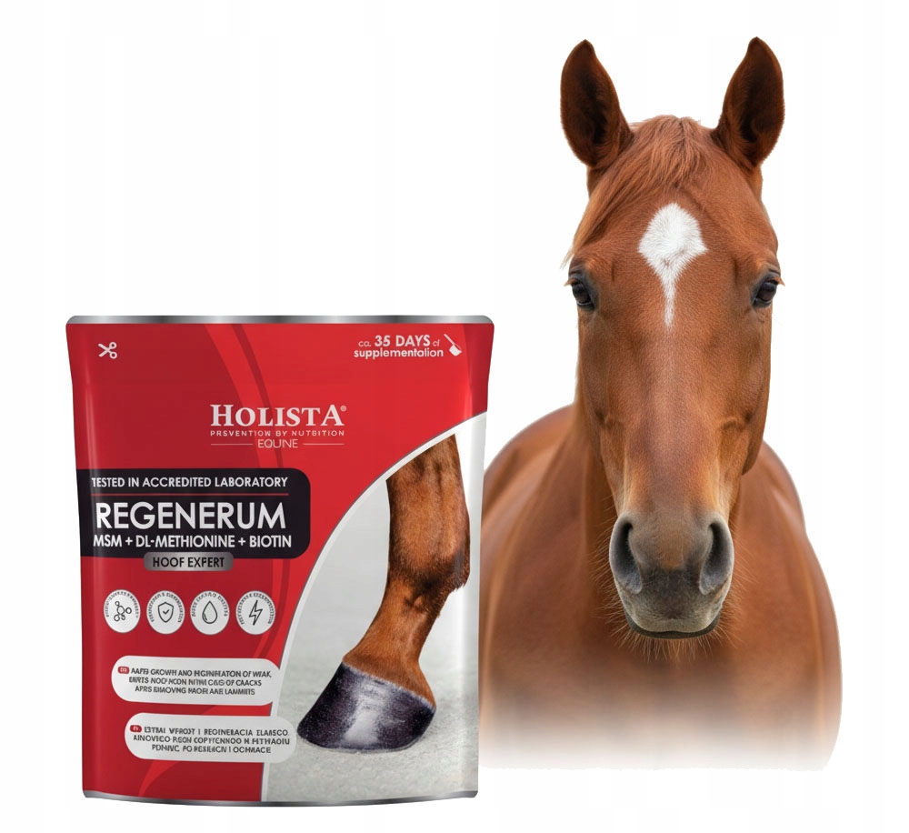 Holistaequine Hoof Expert Regenerum 1000 g Regenerace A Posílení Kopyt