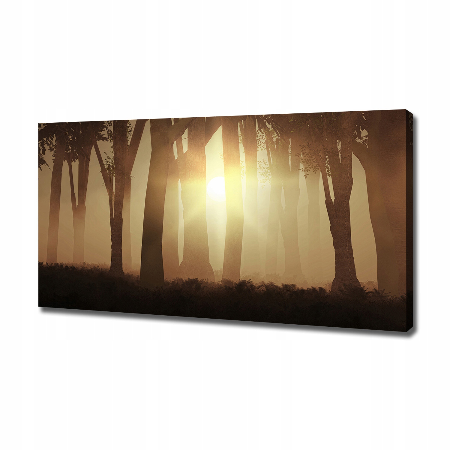 

Duży foto obraz na płótnie Mgła w lesie 120x60 cm