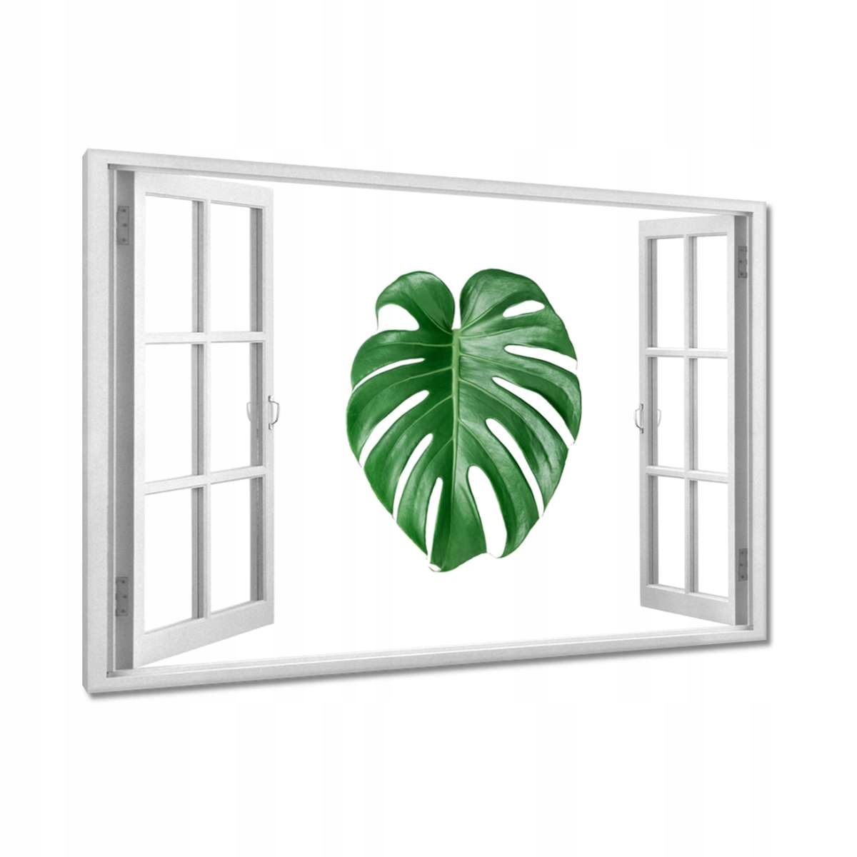 Obrazy 120x80 Monstera děravý list