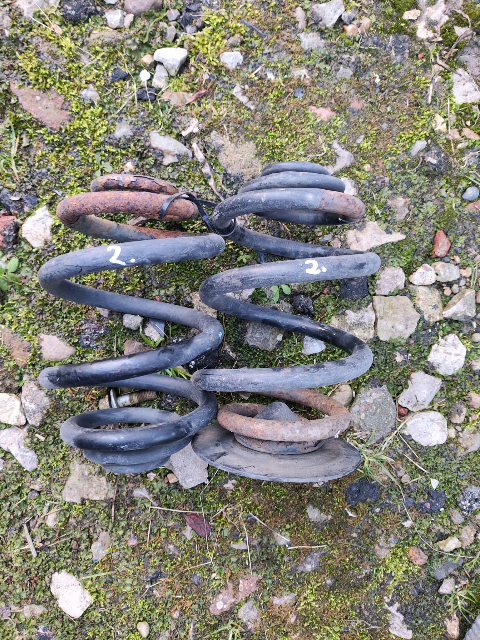 BMW E46 sedan springs rear. rear part spring sedan
