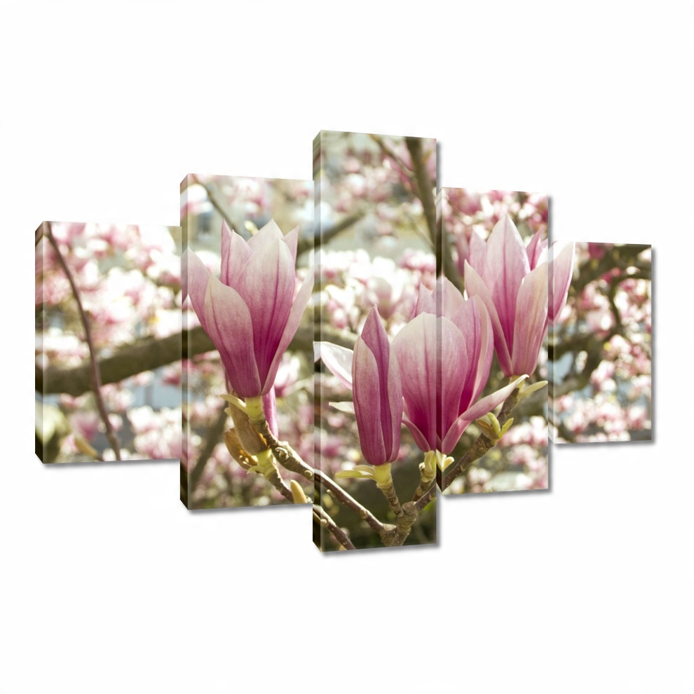 

Obrazy 150x105 Magnolia
