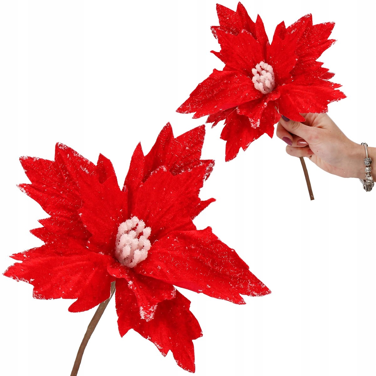 

Poinsecja Gwiazda Betlejemska Kwiat 15CM Ozdoba