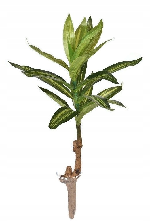 

Gałązka sztuczne kwiaty roślina Dracena pojedyncza