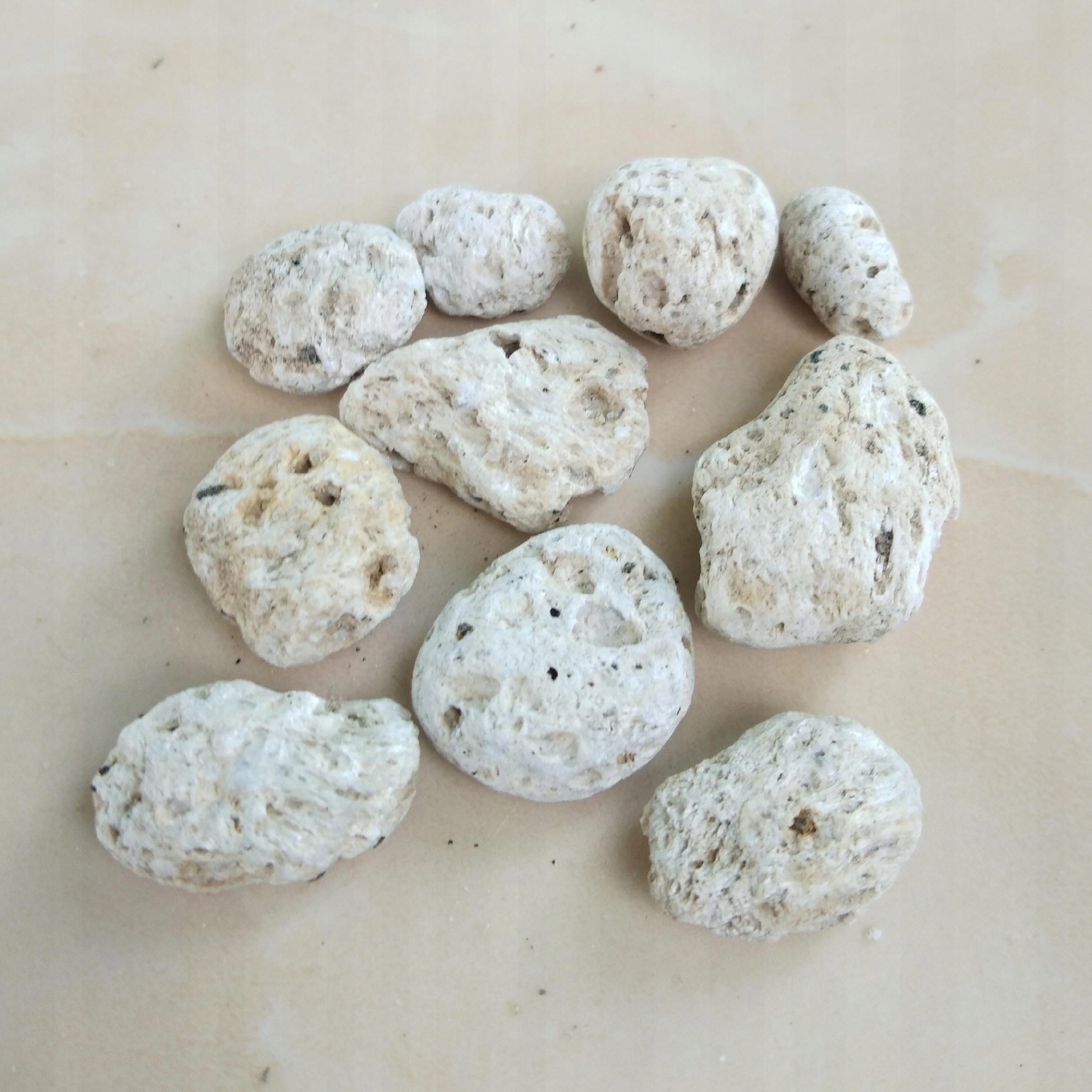 Pumeks ogrodniczy wulkaniczny BIOVITA 5 l Kod producenta 5907813164026