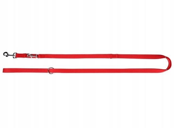 Levně Dingo Vodítko s prodlouženou páskou 2,5 cm/200-400 cm červená