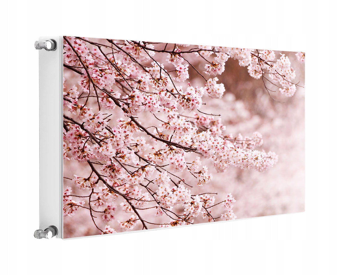 Magnet Na Radiátor 80x60 Květiny Fototapeta