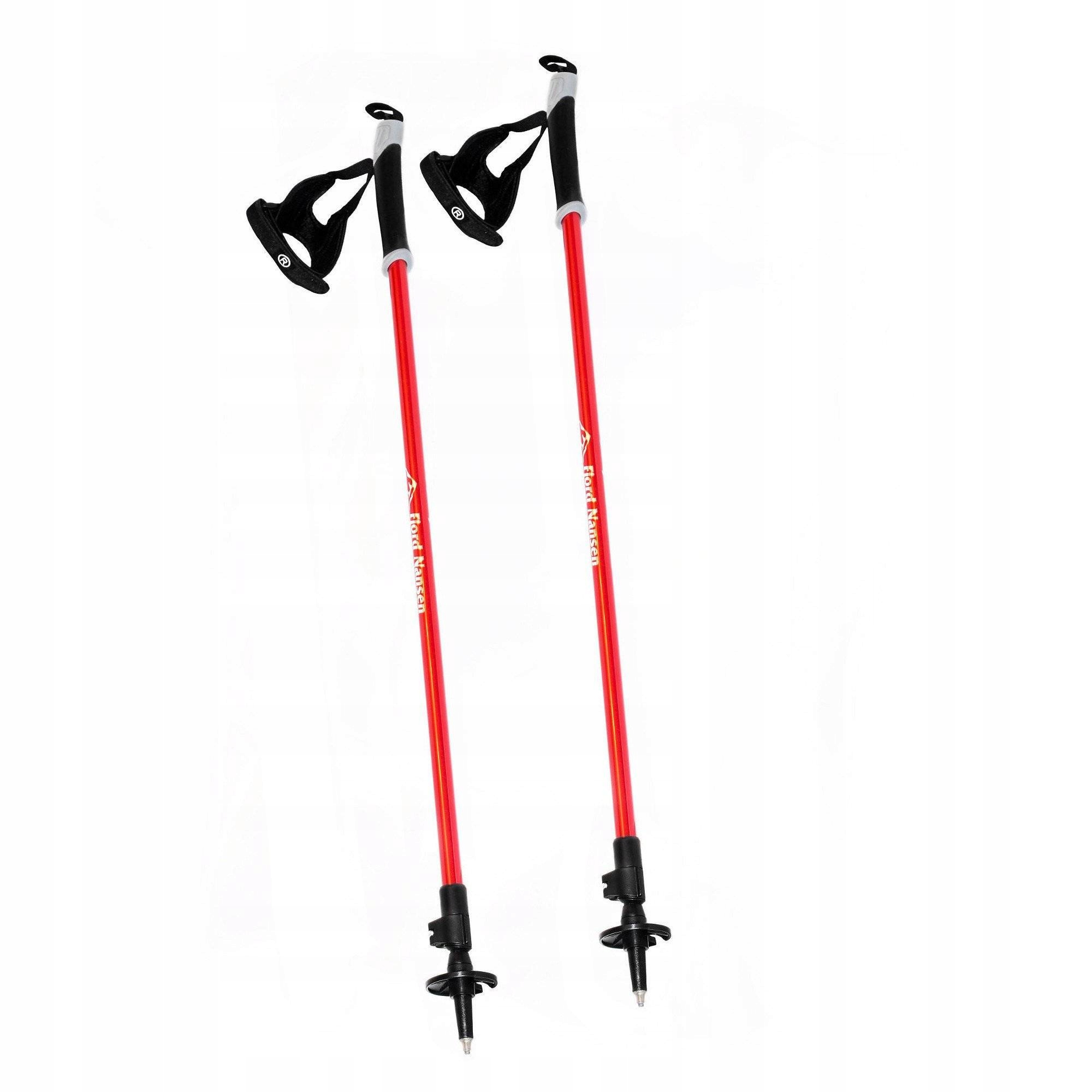 Kije nordic walking Nordic Pro II