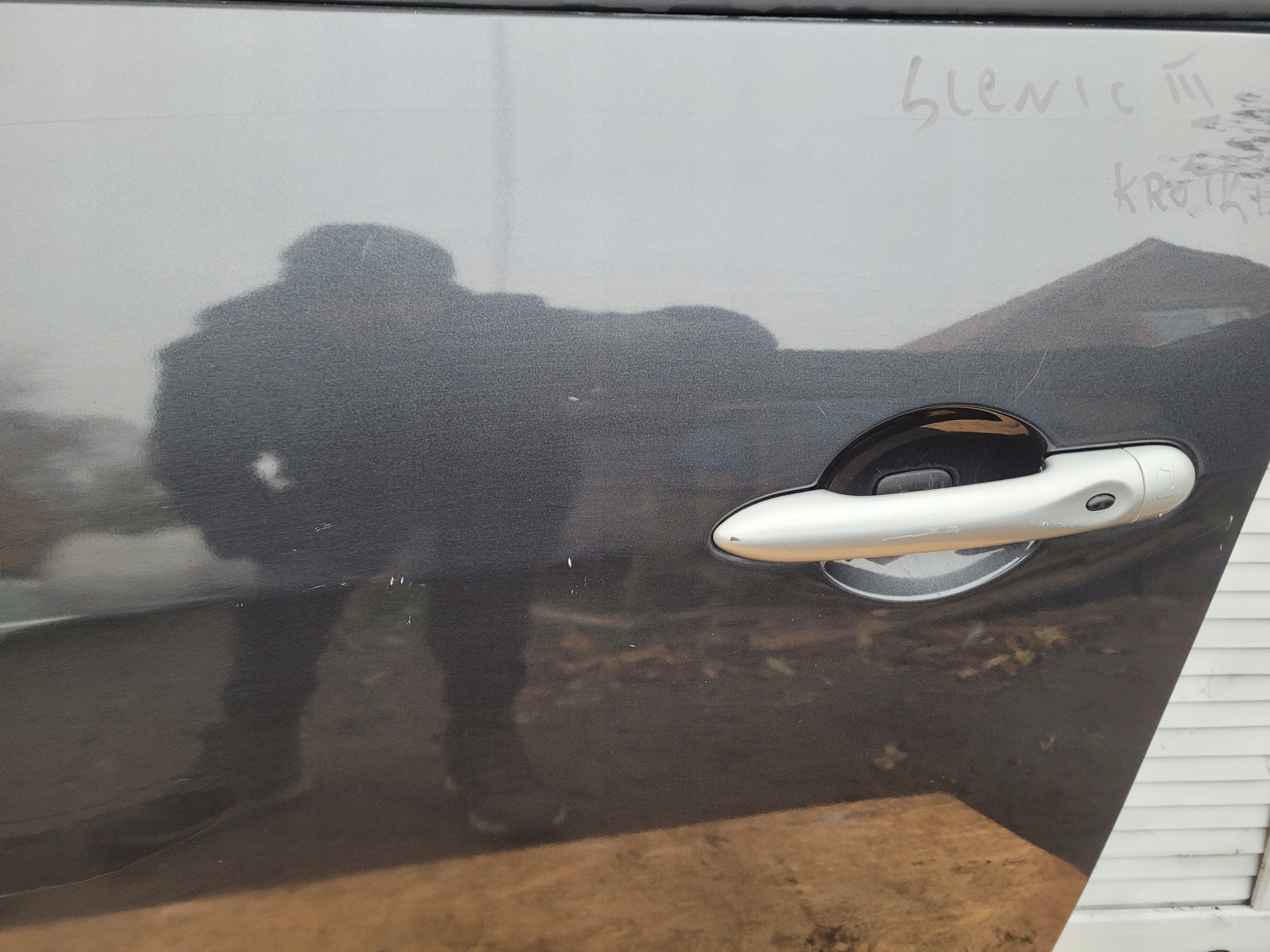 door front front left RENAULT SCENIC III