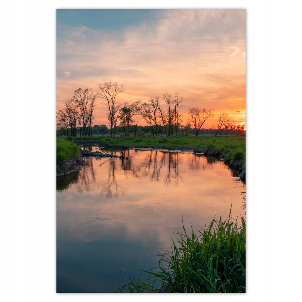 

Plakaty 62x93 Rzeka Łąka