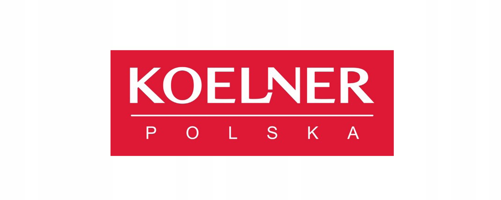 Kotwa chemiczna KEM PSC 175ml EASY FIX Rodzaj chemiczne