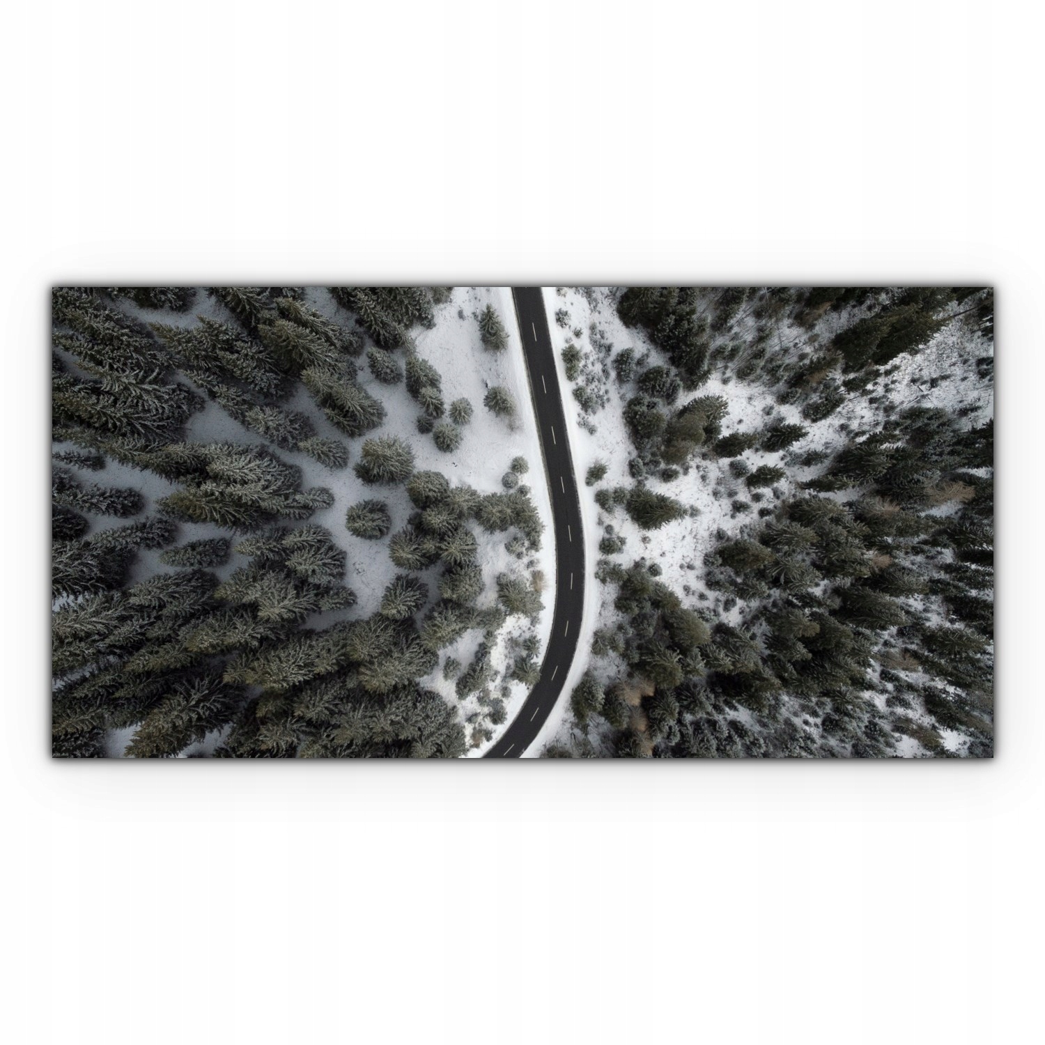 

Foto-obraz canvas 100x50 Droga Las Drzewa Natura