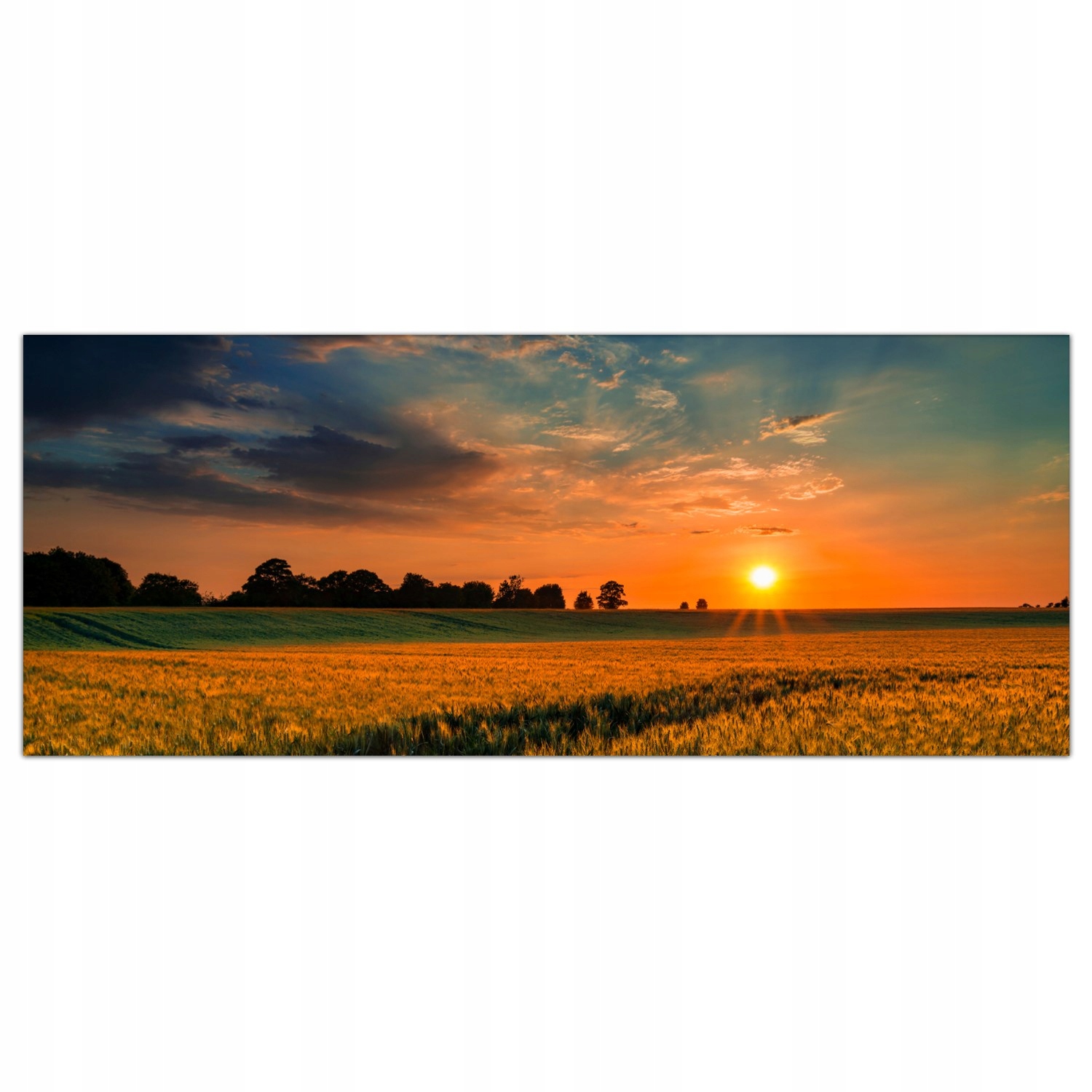 

Obraz na szkle Foto Pole Pszenicy Słońce 125x50