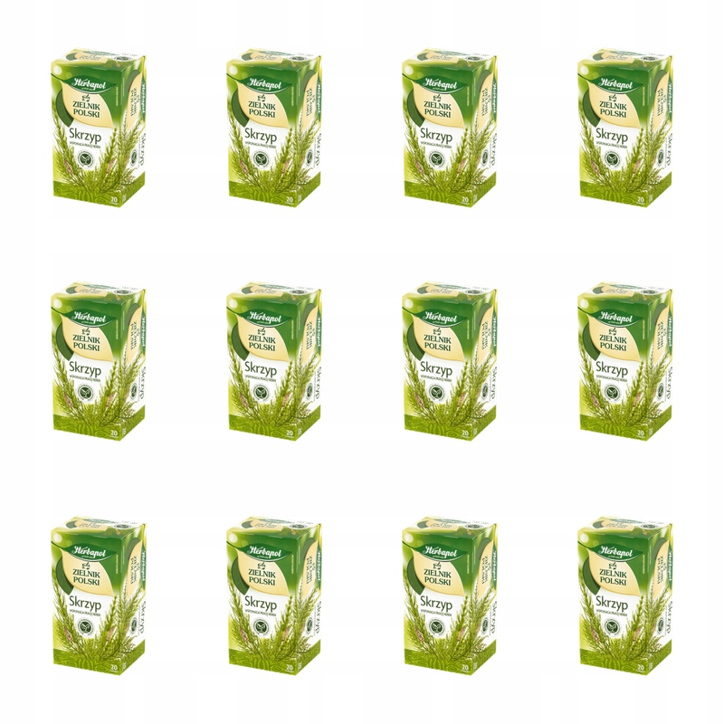 Skrzyp Polny Herbata Ziołowa 20 Torebek Ekspresowa Zielnik Polski X12