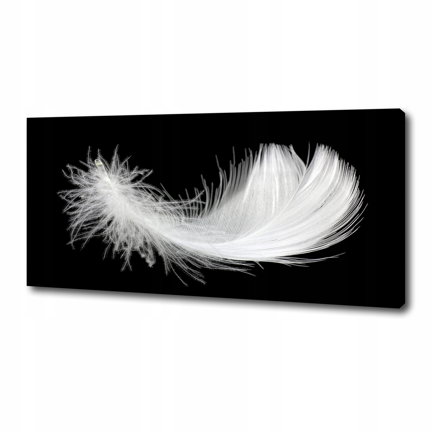 

Foto obraz duży canvas na ścianę Piórko 125x50 cm