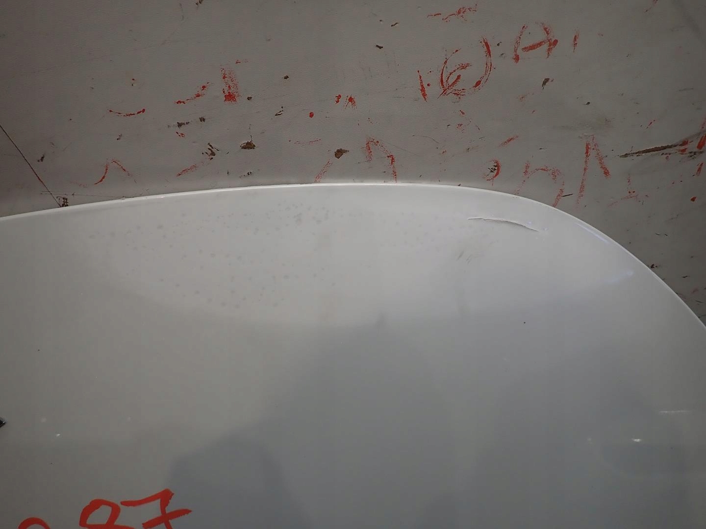 bonnet TESLA Y 2020