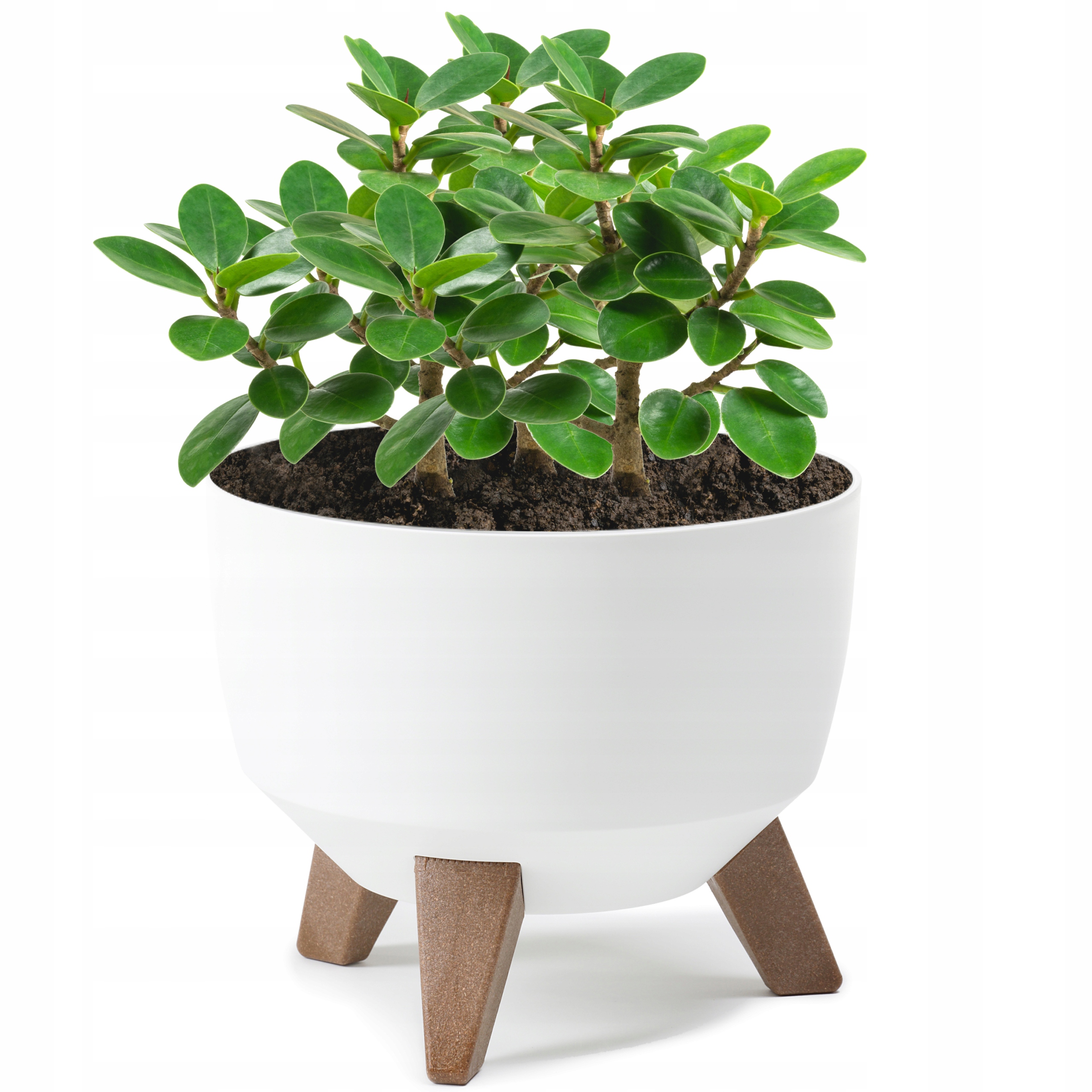 

Doniczka Kwietnik Misa Osłonka Ogrodowa Wkład 24cm