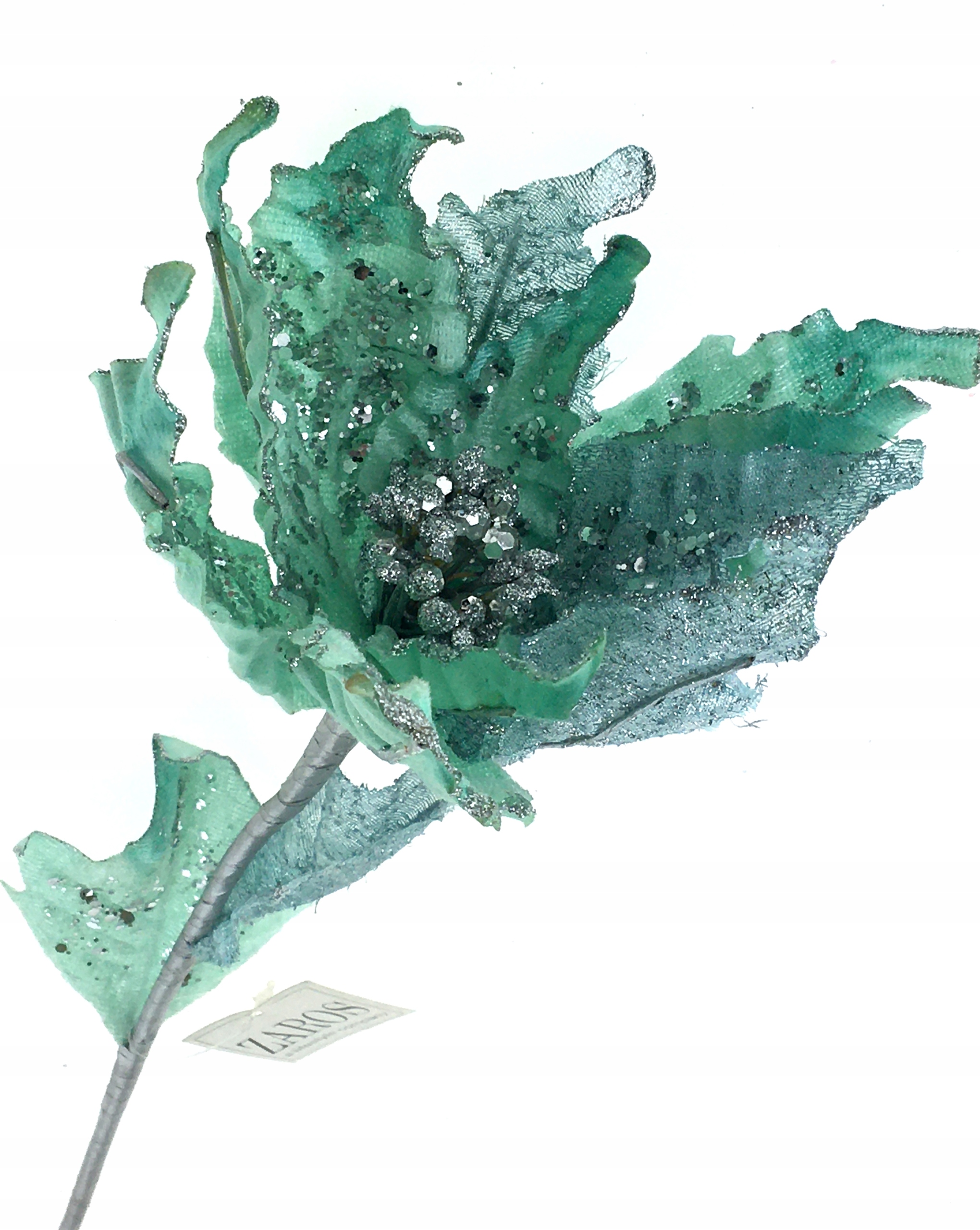 

Gwiazda Betlejemska Poinsetia Niebieska Gałązka