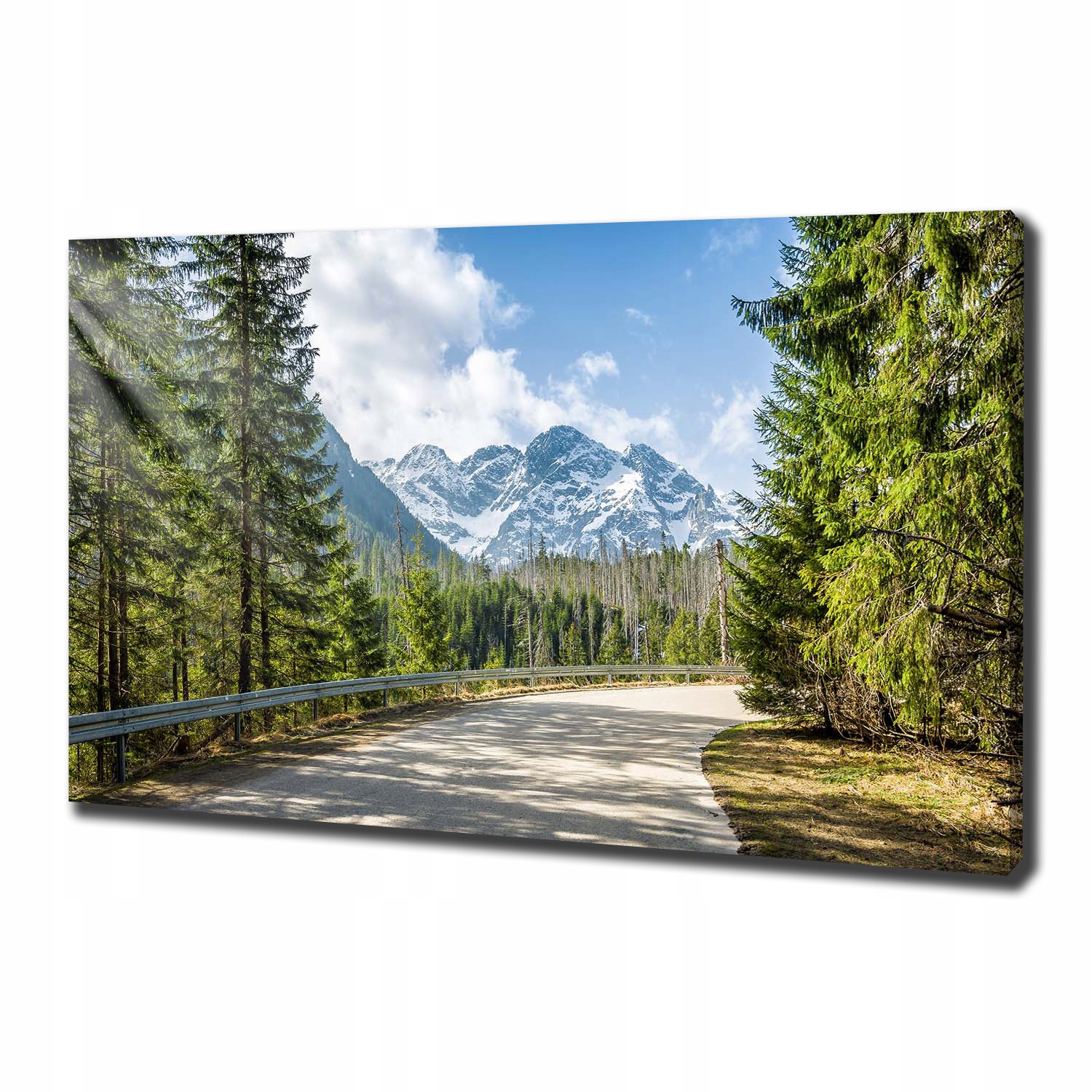 

Foto obraz canvas na ścianę Droga Tatry 100x70 cm