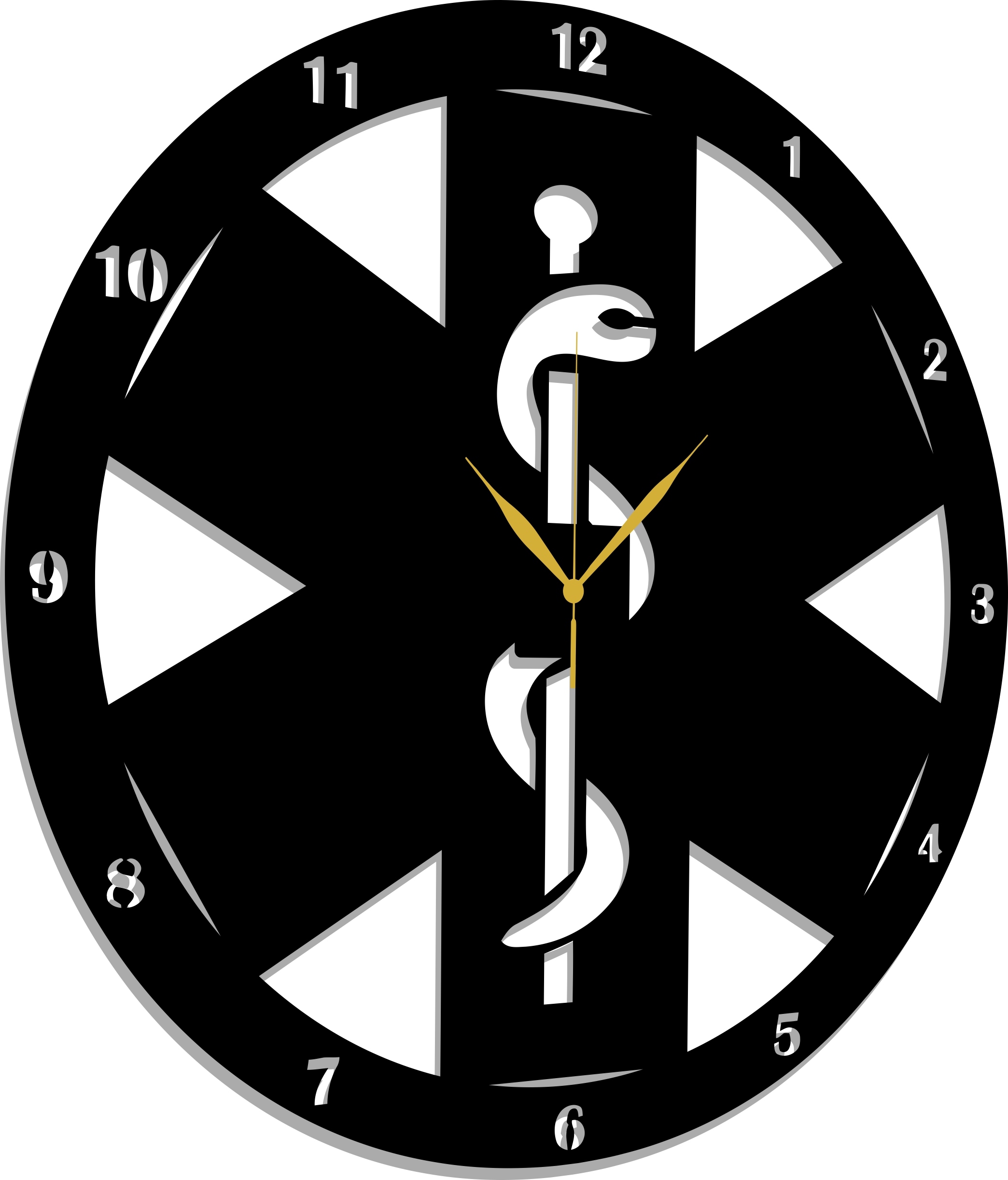 Nástěnné Hodiny Pro Studenta Medicíny Lékaře Do Ordinace Lékárny Dárek 60 CM